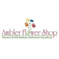 Ambler Flower Shop-Gift Baskets image 1